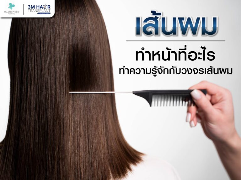 เส้นผมทำหน้าที่อะไร ทำความรู้จักกับวงจรเส้นผม