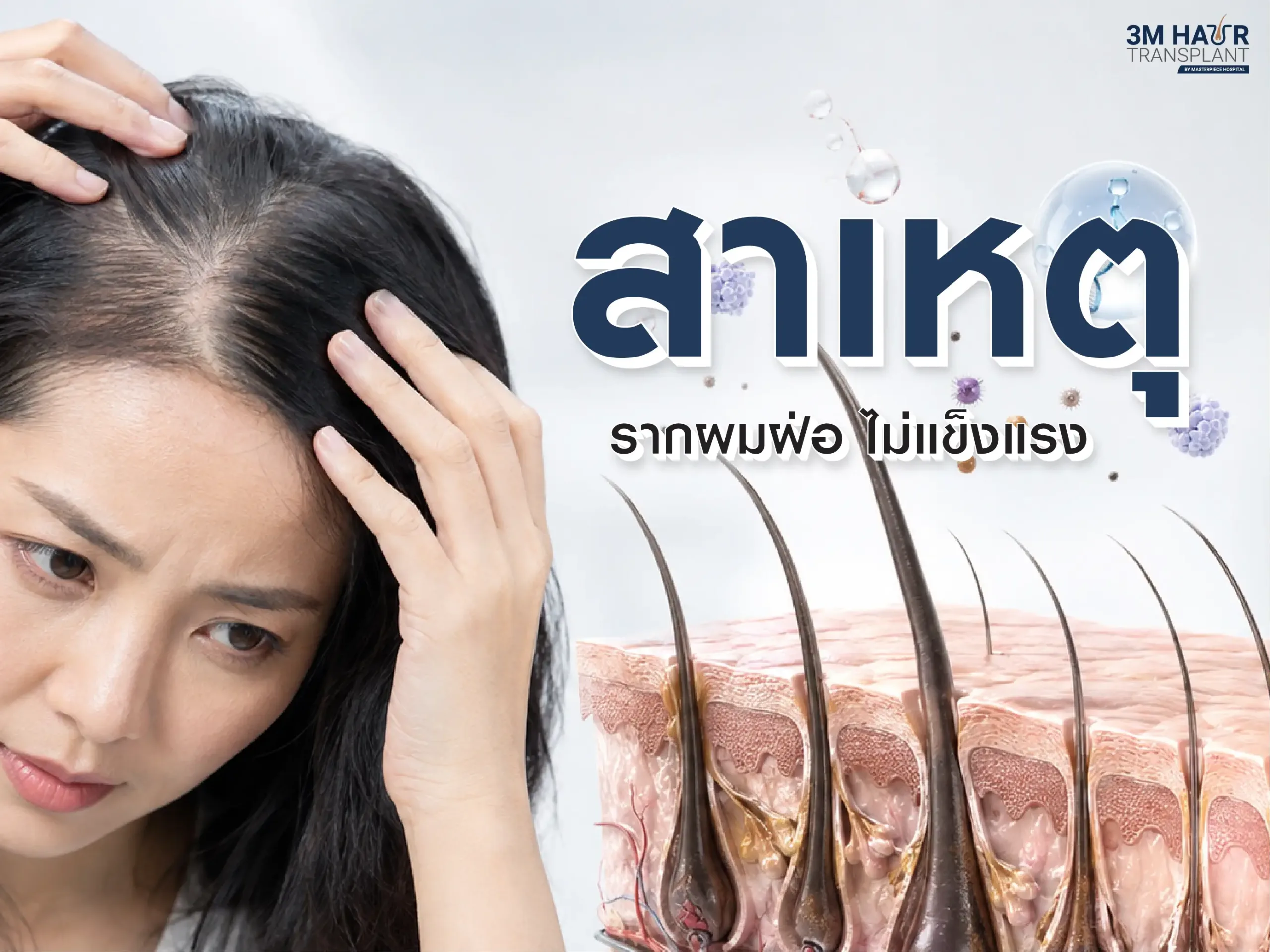 สาเหตุรากผมฝ่อ ไม่แข็งแรง คืออะไร ?